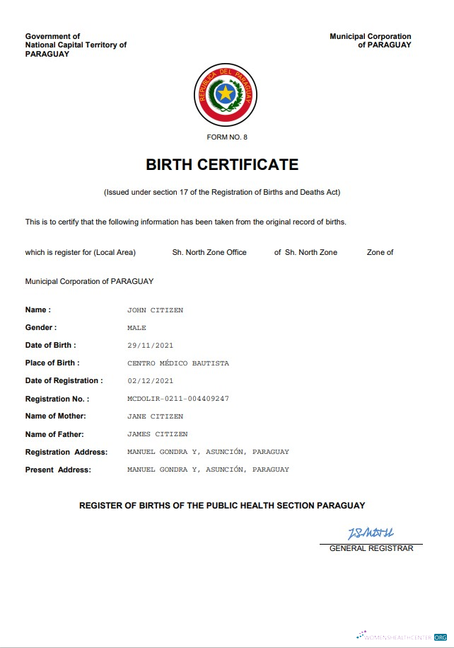 Download Paraguay birth certificate Word and PDF template Photoshop template